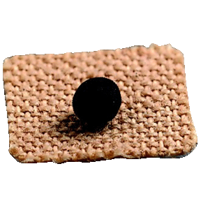 Vaccaria Seeds 600pcs/pkt